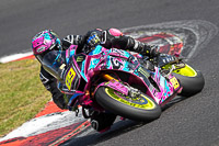 brands-hatch-photographs;brands-no-limits-trackday;cadwell-trackday-photographs;enduro-digital-images;event-digital-images;eventdigitalimages;no-limits-trackdays;peter-wileman-photography;racing-digital-images;trackday-digital-images;trackday-photos